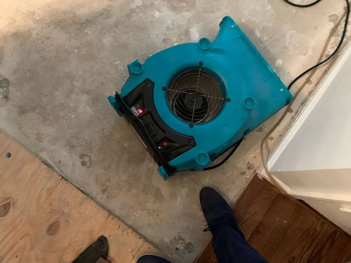 Air mover drying subfloor during Commercial Water Damage Restoration in Livingston